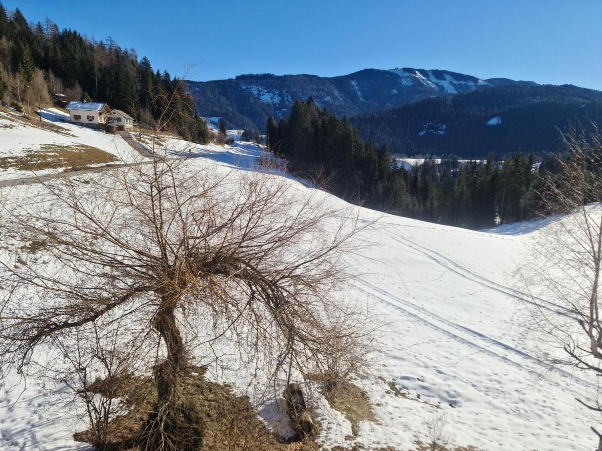 Schoene Ferienwohnung Im Naturpark Grebenzen ザンクト・ランブレヒット エクステリア 写真