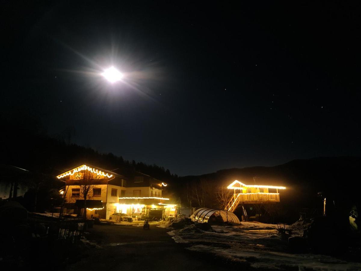Schoene Ferienwohnung Im Naturpark Grebenzen ザンクト・ランブレヒット エクステリア 写真