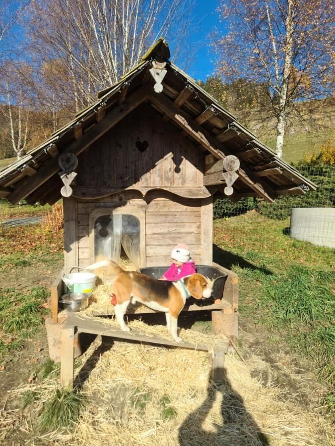Schoene Ferienwohnung Im Naturpark Grebenzen ザンクト・ランブレヒット エクステリア 写真